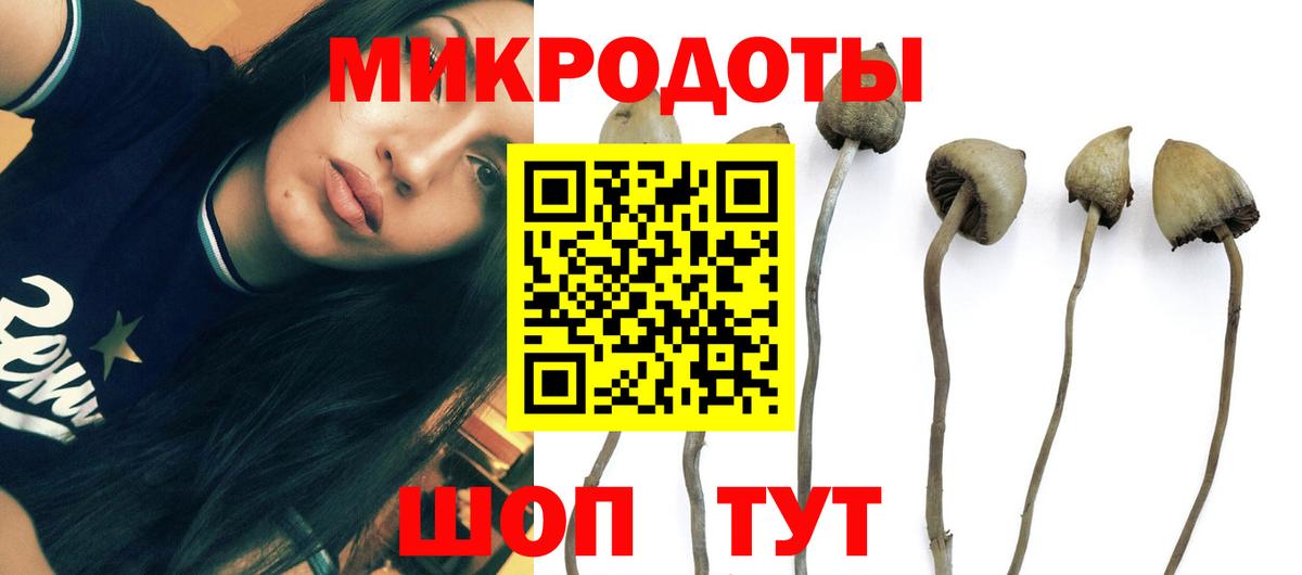 Галлюциногенные грибы мицелий  Вход с VPN  Менделеевск 